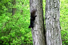 photo 0051